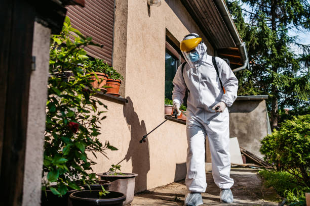 Best Exterminator Services  in Lumbine Valley, CO