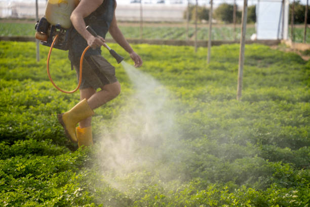 Best Pest Control Cost  in Lumbine Valley, CO