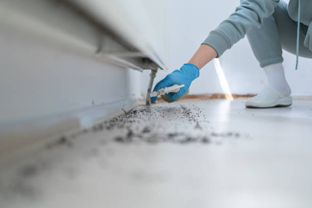 Professional Pest Control in Columbine Valley, CO